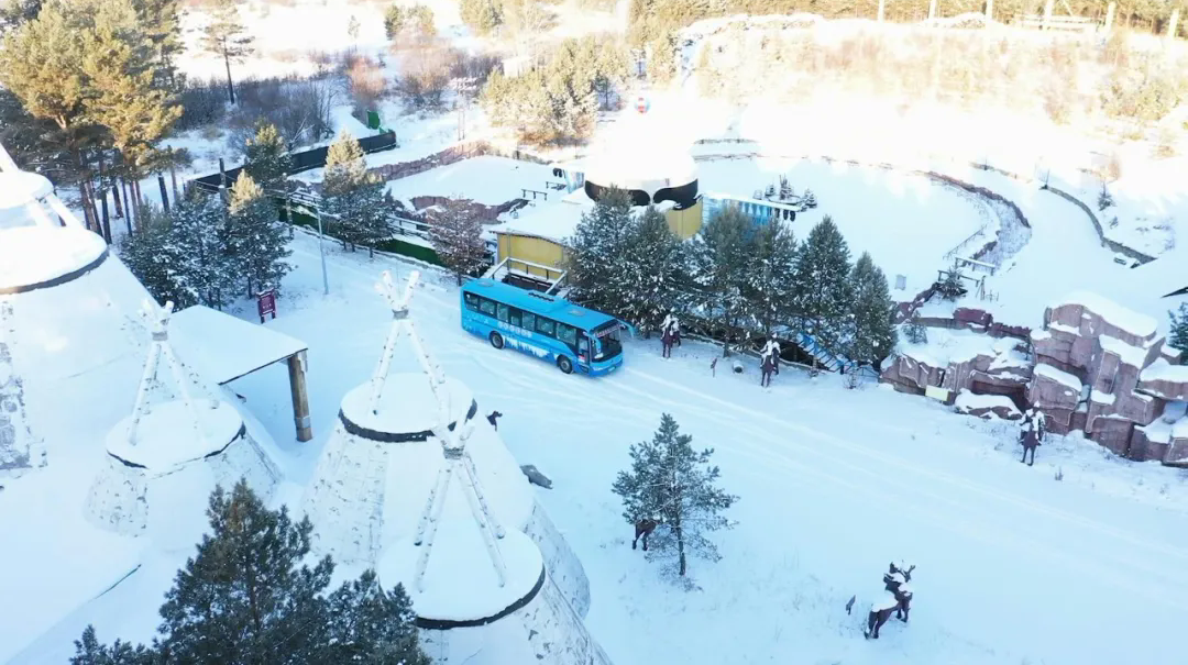 “冷”冰雪带来“热”活力，，，，，，，，高端旅游市场一连火爆
