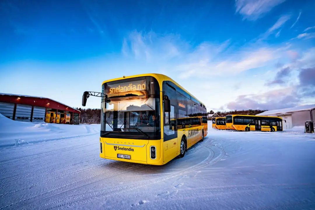 ǿƿ֡ʵɷܽletou׳