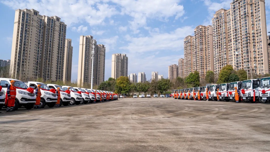 Żͻƣletou3󵥻Ƚ