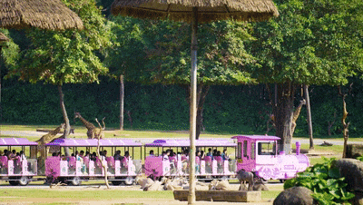 4���� ��������������100%�����ʣ�letou���������������г�������¡��������ʽ��̬֮��