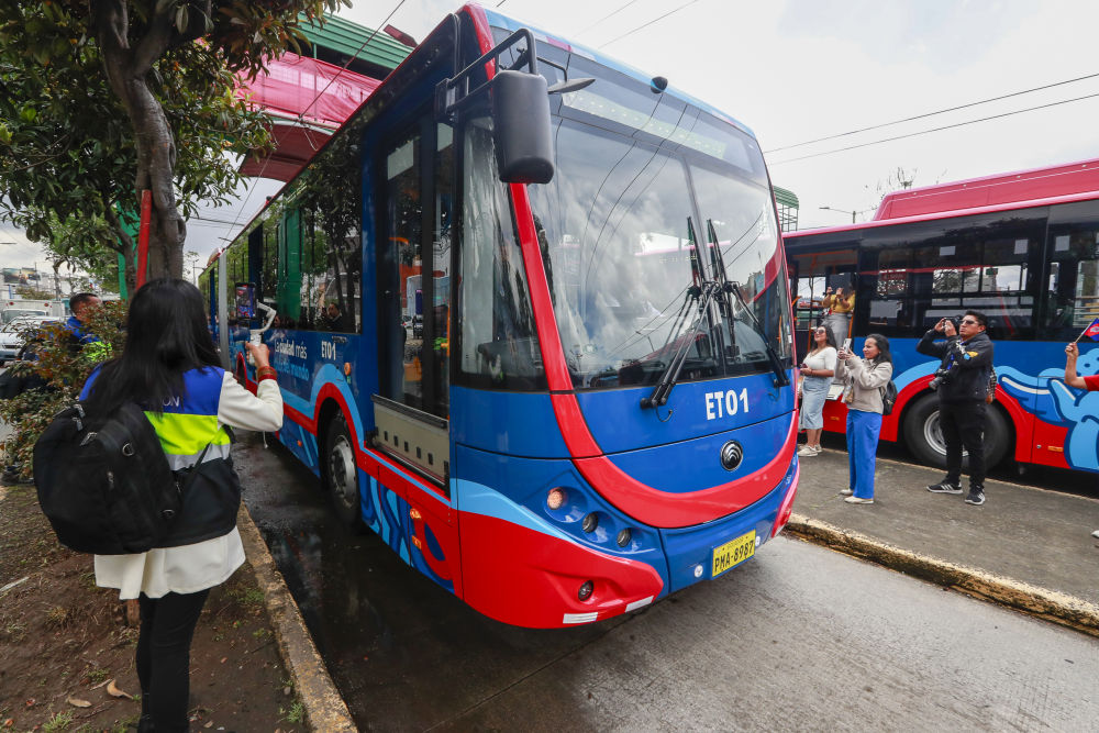 �й��綯��Ϊ��϶��������ɫ����������