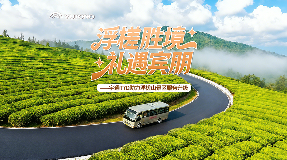 ɽ·�ϵ�ȥ����������������Ǯ�µ�������������������letou������������T7D����Ӫ��Ǯ��Լ30%���ϵ�Ӳ��ʵ����