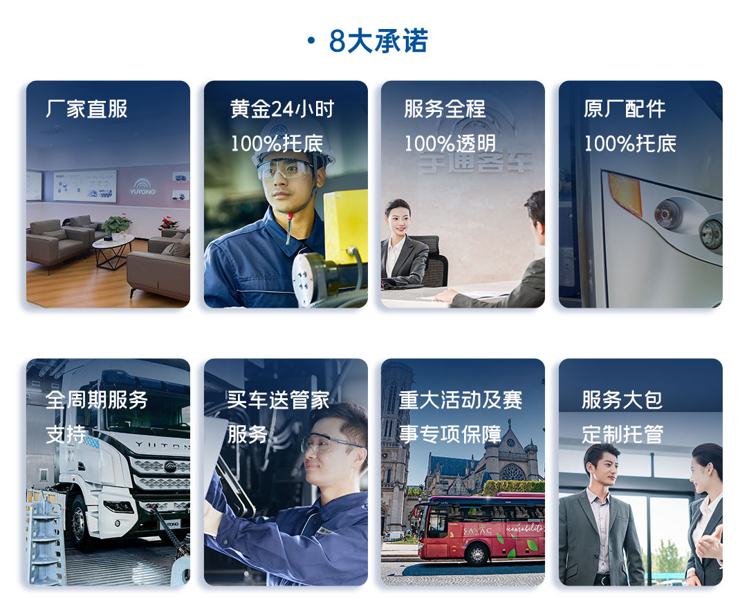 һͼ����letou������������2025���ҵ��